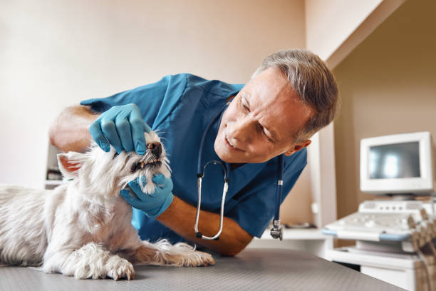 Best Dental Abscess Treatment in Riverdale, GA